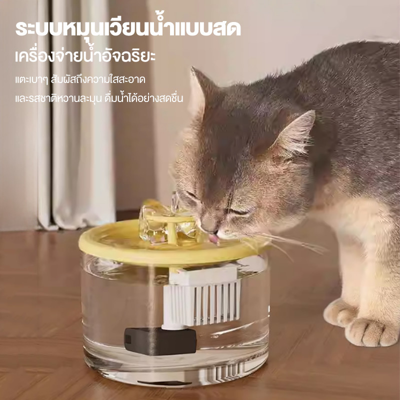 น้ําพุแมวอัต เงียบมาก แบบใส โนมัติน้ำพุน้ำดื่มที่ โนมัติกรองสัตว์เลี้ยงดื่มน้ําพุ น้ำพุสัตว์เลี้ยง ที่ให้น้ำสัตว์เลี้ยง