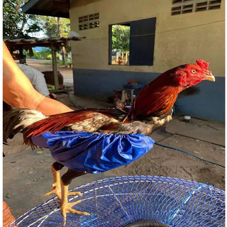ผ้าคลุมปีกไก่ ผ้าคลุมปีกกันน้ำ ผ้าล่ม สีสุ่ม 360x150 มม. สำหรับไก่ชน ราคาต่อ 1 คู่