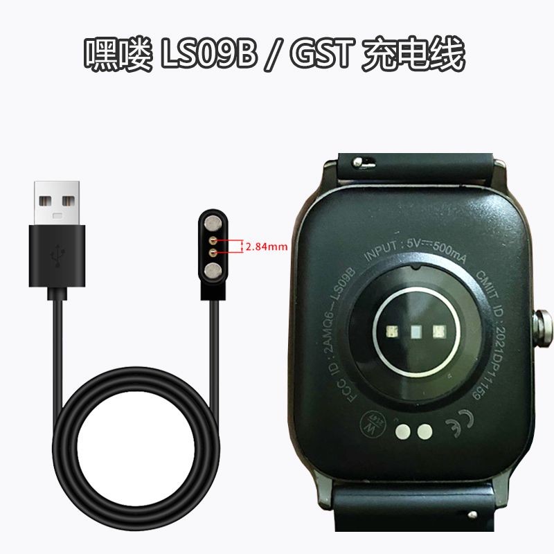 HayLou HayLou สายชาร์จแม่เหล็กเหมาะสําหรับนาฬิกา 2 pro/LSO2/LS05/LS09/GST20250615