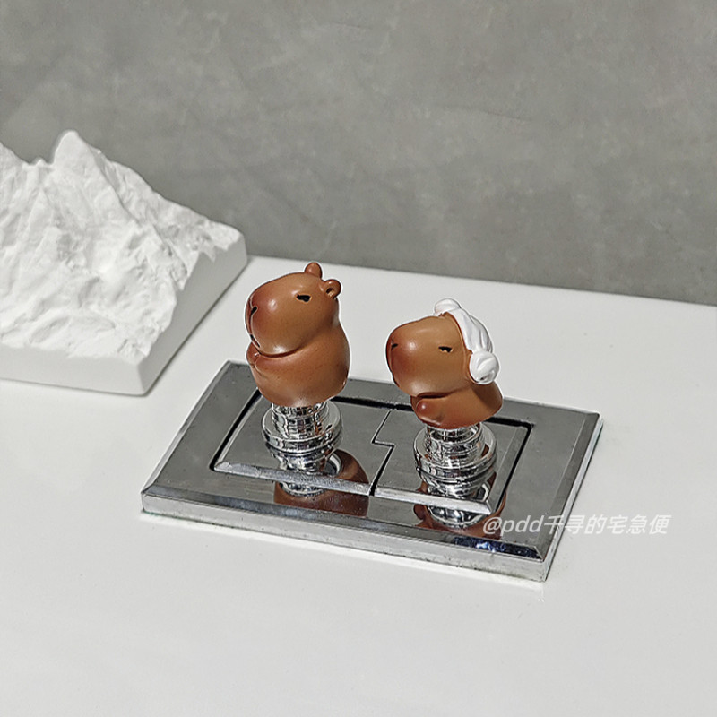 ปุ่มกดชักโครก ปุ่มกดชักโครกในห้องน้ำ ปุ่มกดชักน้ำในถัง