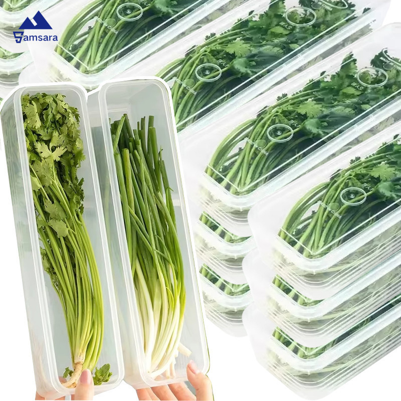 กล่องเก็บผักพลาสติกใส | อาหาร-ปลอดภัย ภาชนะใสสําหรับผักชีสด/หัวหอมสีเขียว, เครื่องเก็บรักษาผักอเนกประสงค์ – โปรปัง