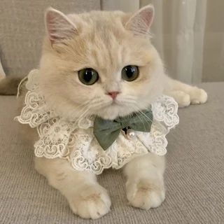 ลูกไม้ Bowknot Pearl Collar แมวสุนัข Neckerchief สัตว์เลี้ยงแมวลูกแมวสุนัขลูกสุนัข String Bib สร้อยคอเนคไทสายคล้องคอผ้าพันคออุปกรณ์เสริม