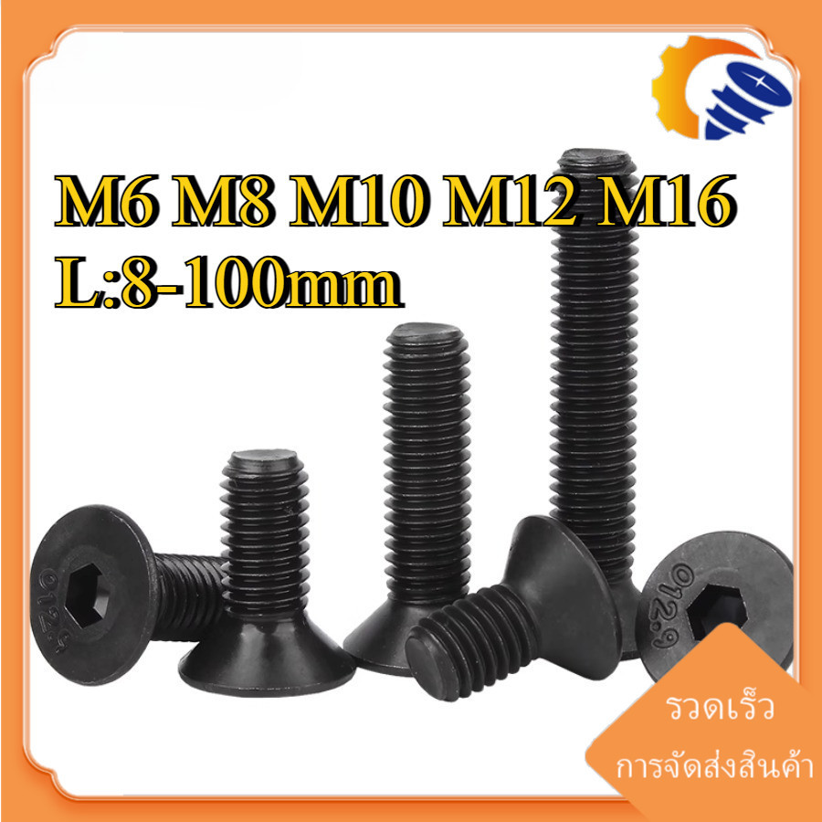 (ZQ) น็อตดำ หัวจมเตเปอร์  เกรด 12.9 แข็งพิเศษ สกรูชุบแข็งดำ เกลียวมิล ตลอด  หยาบ / Hex Socket Head Cap Machine M6/M8/10/M12/M16 * L8-100 มม. (RM-TH-1)