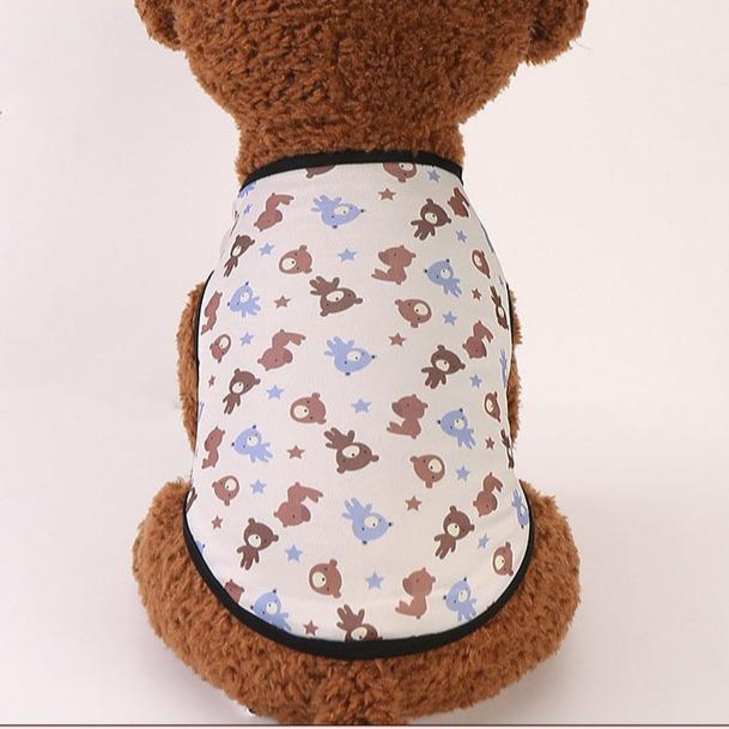 สินค้าสัตว์เลี้ยง Food Toy Health LI0331 Purple Bear M CC baby