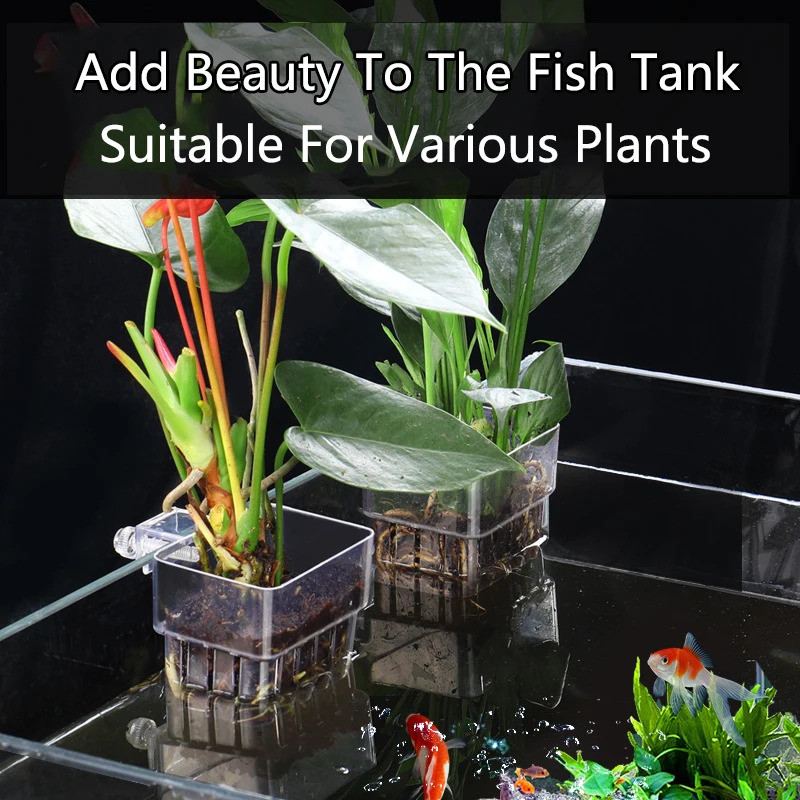 ตะกร้าปลูกตู้ปลา Hydroponic สนับสนุน Hangable Fish Tank Water Grass Cup ที่วางพืชน้ําแขวนผนังกระถางดอกไม้ hydroponics Hydroponic ตะกร้าปลูกสําหรับถังปลา