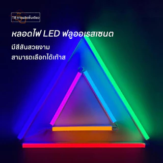 หลอดไฟ LED นีออนสี ไฟตกแต่ง ขั้วกันน้ำ ถูกที่สุด ไฟงานวัด หลอดสี ไฟพัด