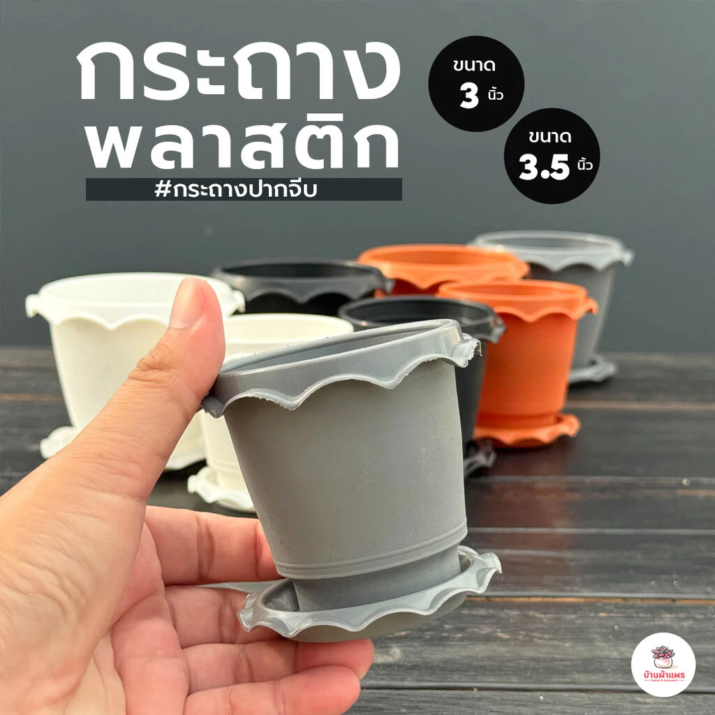 กระถางปากจีบ พร้อมจานรอง กระถางพลาสติก แคคตัส กระบองเพชร ไม้อวบน้ำ Cactus&Succulent