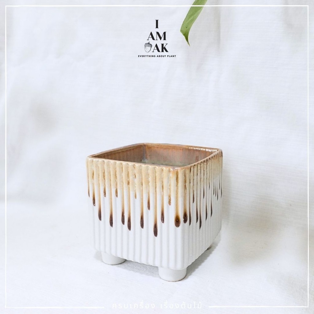 มุมมอง 5