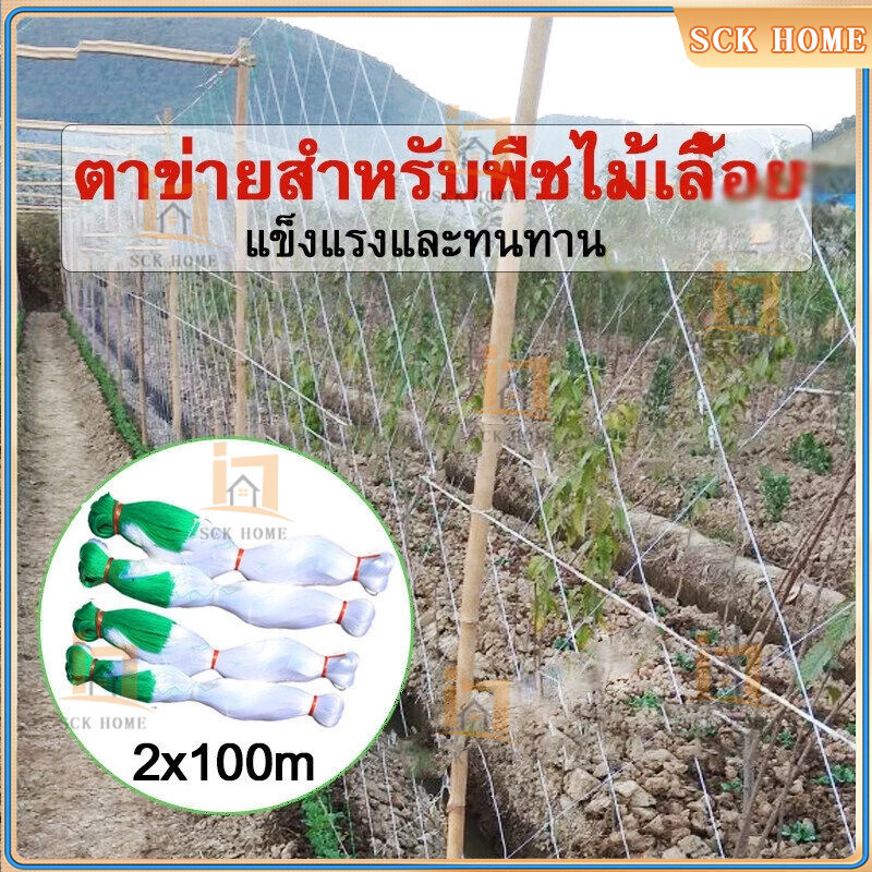 โครงไม้เลื้อย ตาข่ายปลูกผัก อวนแตง ตะข่ายไนลอน ค้างผัก ต้นไม้เลื้อยตาข่ายไนล่อน ตาข่ายแตงกวา ตาข่ายปลูกถั่วPlant Support
