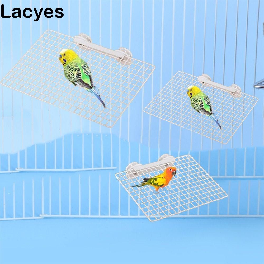 LACYES กระดานสถานีนก, เหล็กกัดทนนกแก้วโลหะตาข่ายแพลตฟอร์ม, ปฏิบัติที่มั่นคงทนต่อการสึกหรอนกแก้ว Perches Stand สําหรับกรงนก