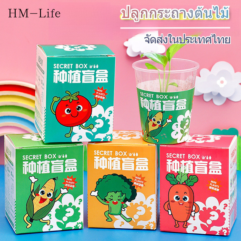 อนุบาลปลูกกล่องตาบอดกระถางเด็กเมล็ดพืชดอกไม้ของขวัญเล็ก ๆ (คลังสินค้าไทย) BS42