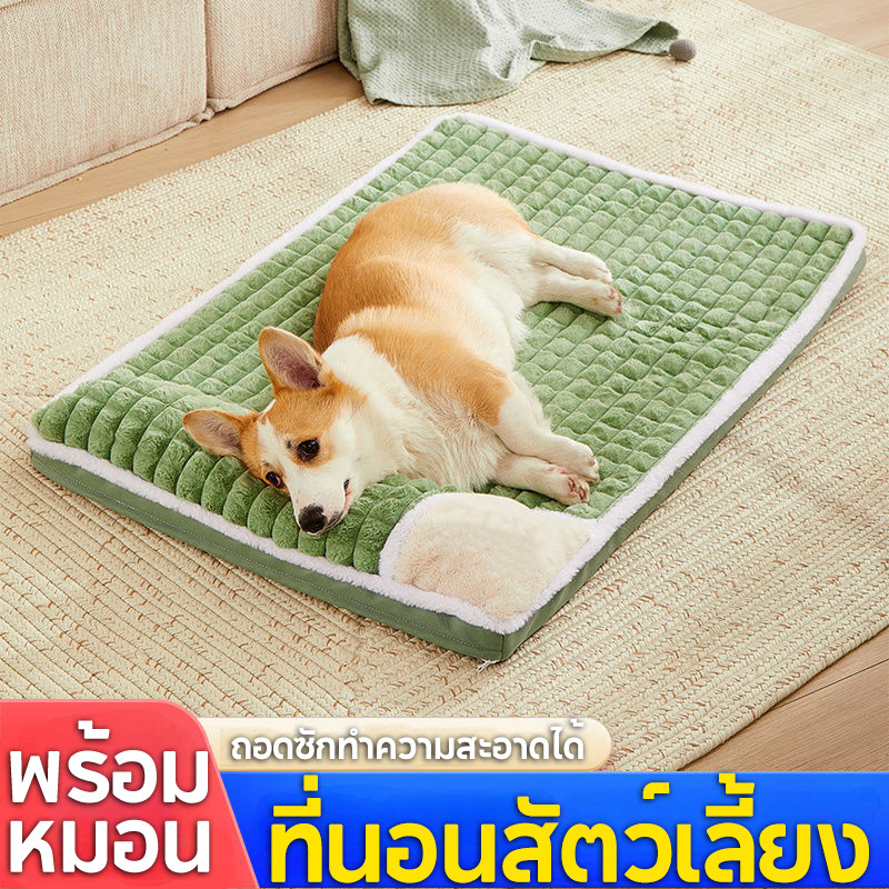 ที่นอนสัตว์เลี้ยง พร้อมหมอน ถอดซักได้ เตียงแมว ผ้าห่ม ความนุ่มและความแข็งปานกลาง กำมะหยี่อาร์กติก ที่นอนแมว ที่นอนสุนัข