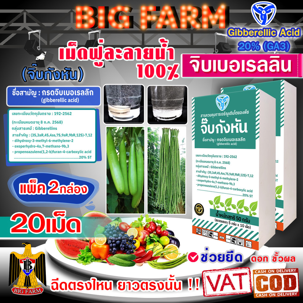 จิบเบอเรลลิน Gibberellin จิบเบอเรลลิก แอซิด ชนิดเม็ด 20% (GA3) เม็ดฟู่ ละลายน้ำ 100% ขายยกกล่อง ((มีหลายตัวเลือก))