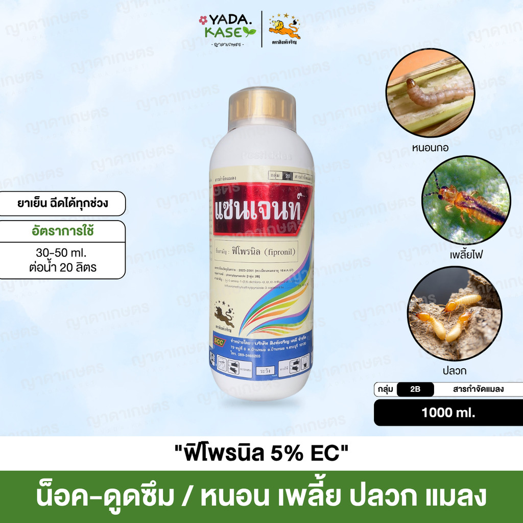 🌤 แซนเจนท์ (ฟิโพรนิล 5%) เก่งปลวก หนอน เพลี้ยไฟ ออกฤทธิ์เร็ว ปกป้องนาน หนอนกอ หนอนใย 1000 ml. / สิงห์เจริญ