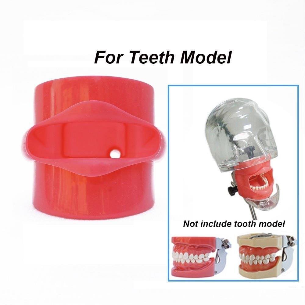 Dental Phantom Head Teeth Model Silicone Mask Teaching Or Training Student Practicing Model