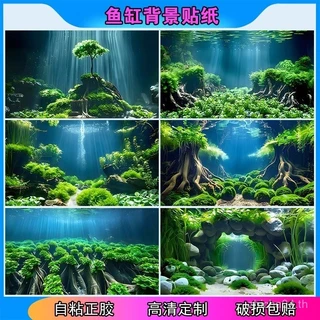 ใหม่ สติ๊กเกอร์พื้นหลังตู้ปลา ภาพ HD ใหม่ 3D ภาพวาด พืชน้ำ ตู้ปลา ไม่โปร่งใส ติดเอง AI