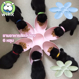 พร้อมส่ง ชามอาหารสัตว์ 6 หลุม กลีบดอกไม้ ชามอาหารหมา ชามอาหารแมว