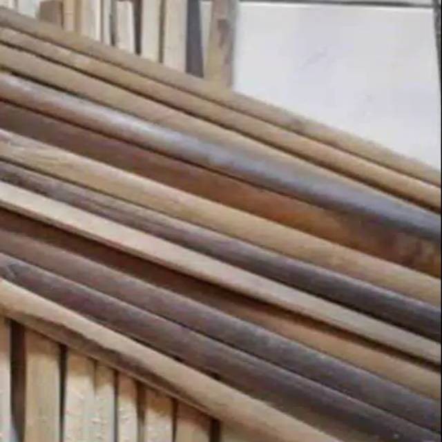 AZ ใบไผ่ยาว 70-100 ซม. & 100-150 ซม