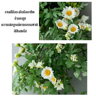 ดอกเดซี่แขวนผนัง ดอกเดซี่ขนาดเล็กสำหรับตกแต่งผนัง ต้นไม้จำลอง แขวนผนังจำลองดอกไม้ ไม้เลื้อยปลอม สำหรับตกแต่งบ้าน