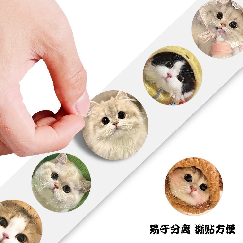[ 500 ] สติ๊กเกอร์ใหม่น่ารัก หัวแมวม้วน สติ๊กเกอร์ หัวแมว หัวแมว ราคา ถูกที่สุด ดีลบีเคเค แกลเลอรีภาพที่ 4