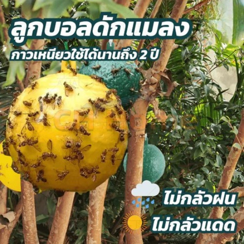 CH รุ่นอัพเกรด ได้ผล3ปี ลูกบอลดักแมลง กวาทรงพลัง กันน้ำกันแดด กาวดักแมลงหวี่ ไม่ละลายกาว ที่ดักแมลงวันทอง กาวดักแมลงวัน