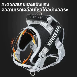 สายจูงสัตว์เลี้ยง เสื้อกั๊กสะท้อนแสง ขนาดเล็ก และกลาง ขนาดใหญ่ สามารถปรับได้ ป้องกันการหลุด