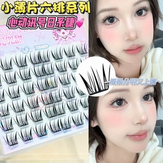 Snow Rose Lashes - ขนตาดอกทานตะวันแบบมีกาวในตัวกระดาษบางเฉียบ | No Glue No Removal Cluster Lashes สําหรับปาร์ตี้และกล้อง | ไม่แพ้ง่าย นํากลับมาใช้ใหม่ได้