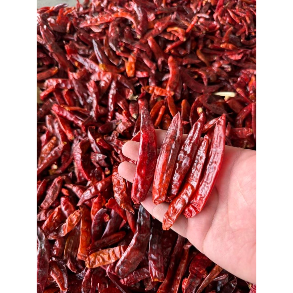พริกแห้งแม่สาย(สนั่ม) เด็ดก้าน ขนาด 1กิโลกรัม เผ็ดกลาง+ หอม ใช้ทำพริกแกงสีสวย และอื่นๆ - รูปที่ 4