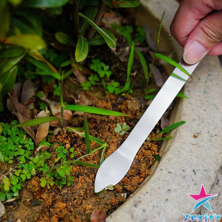ZXF คราดน้อยสแตนเลส 20cm คราดพรวนดิน ที่สางราก อุปกรณ์ทำสวนย่อม Stainless Steel Rake