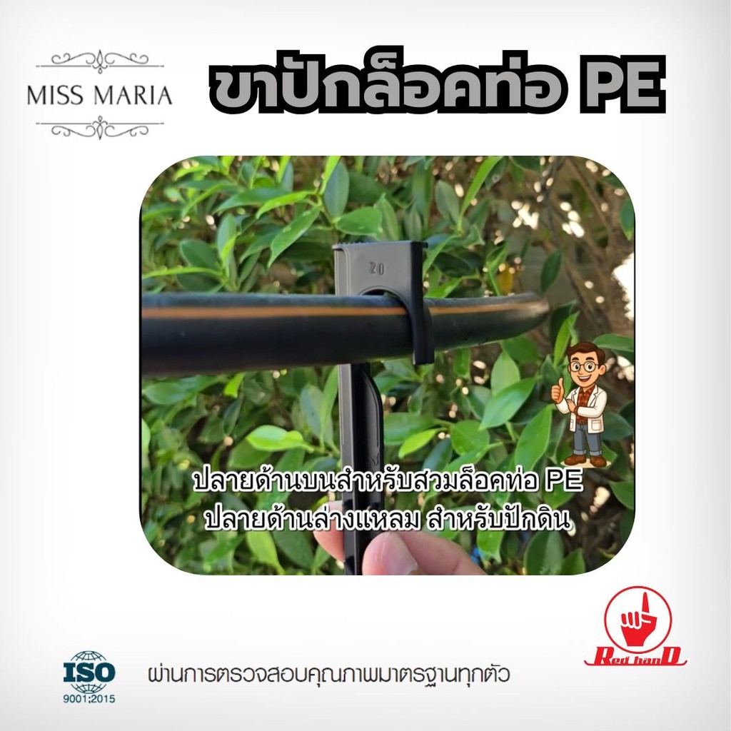 ตรามือ ขาปักล็อคท่อ PE ขนาด 16 – 32 มิล (50 ตัว) ระบบน้ำ รดน้ำต้นไม้ กนกโปรดักส์ ราคา ถูกที่สุด ดีลบีเคเค