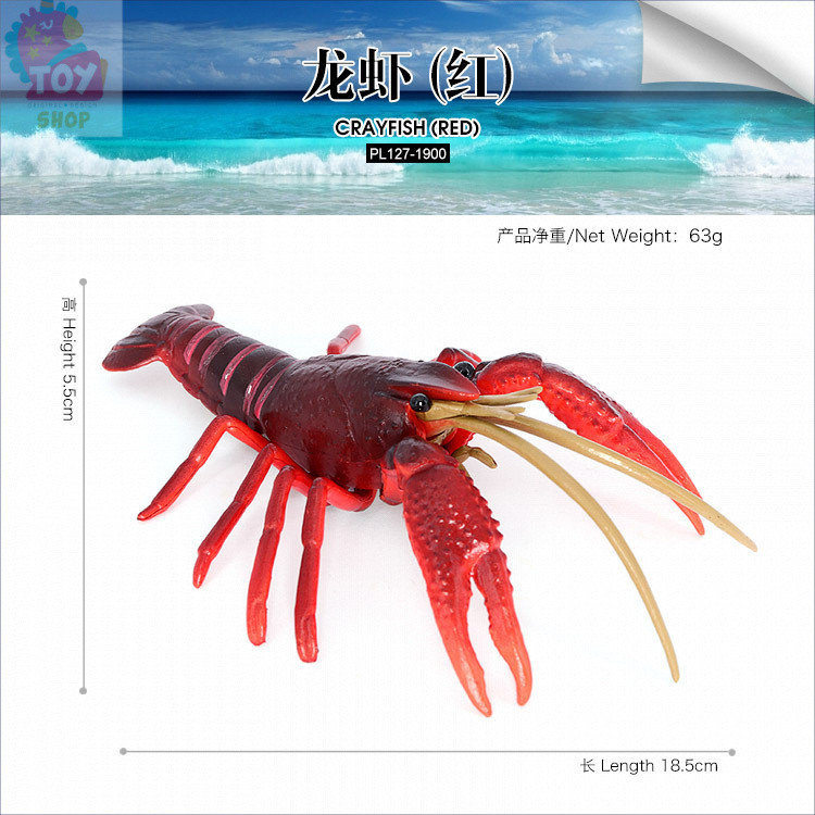ของเล่นการศึกษาสำหรับเด็ก โมเดลล็อบสเตอร์จำลอง ของตกแต่ง ล็อบสเตอร์ขนาดใหญ่ อุปกรณ์ช่วยสอนสำหรับเด็ก - รูปที่ 3