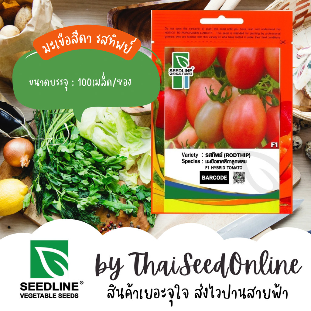 SL เมล็ดพันธุ์ซองเล็ก มะเขือสีดา รสทิพย์ ตราซีดไลน์ Tomato
