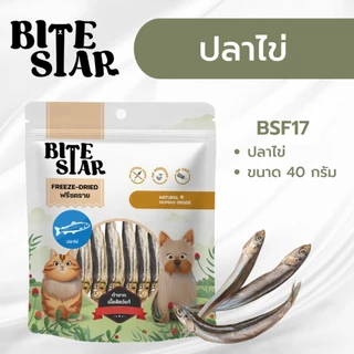 Bite Star ขนมฟรีซดรายสัตว์เลี้ยง แมว สุนัข Freeze Dried ชิ้นเนื้อแท้ ไม่เติมเกลือ ขนาด 40 กรัม
