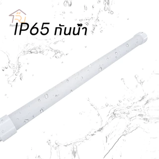 หลอดไฟ LED นีออนสี ไฟตกแต่ง ขั้วกันน้ำ ถูกที่สุด ไฟงานวัด หลอดสี ไฟพัด