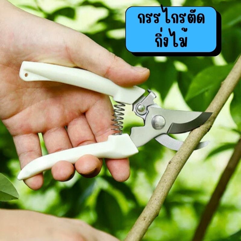 กรรไกรตัดกิ่ง แต่งกิ่งไม้ กรรไกรอเนกประสงค์ อุปกรณ์ทำสวน สแตนเลส ด้ามจับกระชับมือ เเข็งแรงทนทาน G0148