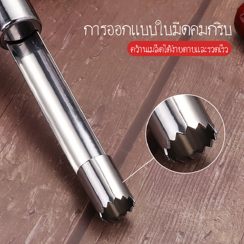 SUGA พร้อมส่ง ที่คว้านเม็ดผลไม้ สแตนเลส มี4ขนาด ใช้สำหรับคว้านเม็ดแอปเปิ้ล มะยงชิด พุทรา เชอร์รี่ จับถนัดมือ COD SUR390 - รูปที่ 3