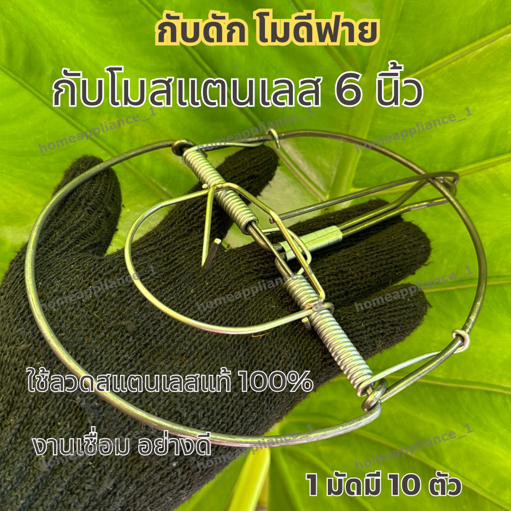 กับดักหนูนา 6 นิ้ว โมดิฟาย ใช้ดักหนูนา หนูพุกใหญ่ 1ชุด10อัน โมดิฟายที่เสียบเหยื่อพร้อมใช้งาน ดีดแรง ดีดแม่น แน่นอน