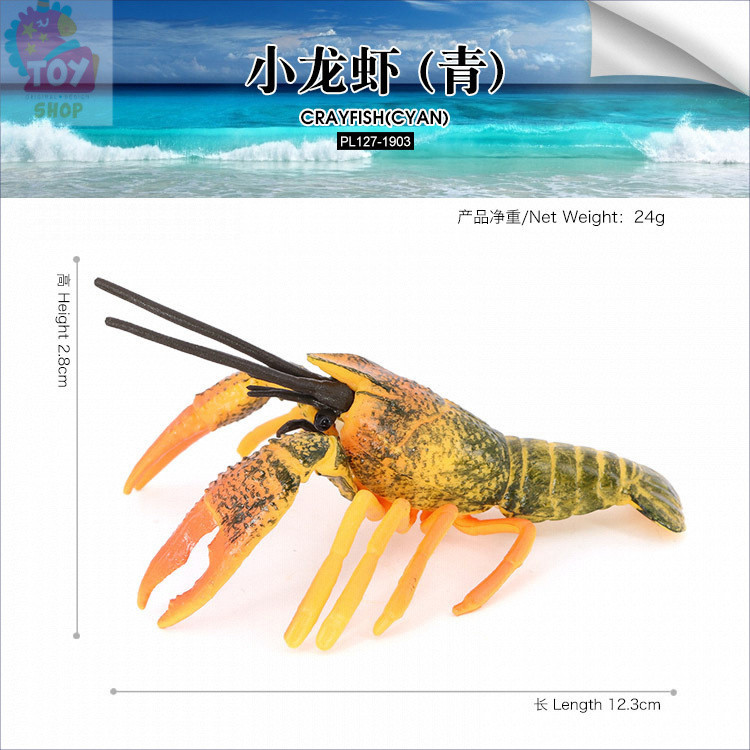 ของเล่นการศึกษาสำหรับเด็ก โมเดลล็อบสเตอร์จำลอง ของตกแต่ง ล็อบสเตอร์ขนาดใหญ่ อุปกรณ์ช่วยสอนสำหรับเด็ก - รูปที่ 6