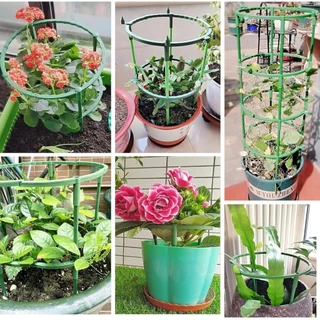 ค้ำต้นไม้ครึ่งวงกลม Plant Support Ring 12 ชิ้น สำหรับดอกไม้ กระถาง และต้นไม้ลำต้นอ่อน