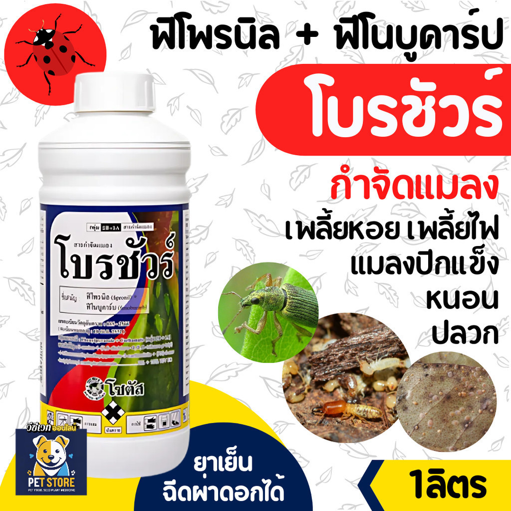 SN โบรชัวร์ (Brochure) 1 ลิตร ฟิโพรนิล (fipronil) + ฟีโนบูคาร์บ กำจัดแมลงชนิดดูดซึม กำจัดแมลงถูกตัวตาย และกินตาย