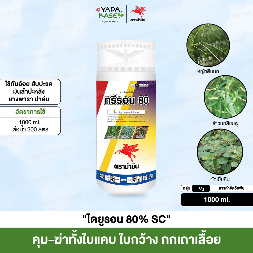 🌤 ทรีรอน 80 (ไดยูรอน 80) สูตรน้ำครีม ละลายง่าย สำหรับวัชพืชในไร่อ้อย มันสำปะหลัง สับปะรด 1000 ml. ใช้ได้ 2-3 ไร่