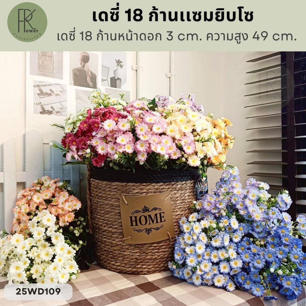 เดซี่ 18 ก้าน เเซมยิบโซ หน้าดอก 3 cm. ความสูง 49 cm.