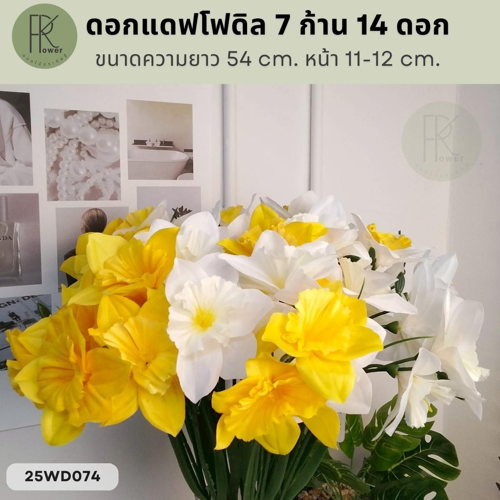 ดอกแดฟโฟดิล 7 ก้าน 14 ดอก ขนาดความยาว 54 cm. หน้า 11-12 cm.