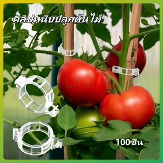 litai คลิปหนีบปลูกต้นไม้ คลิปหนีบต้นไม้มะเขือเทศ  รัดกิ่ง แห…