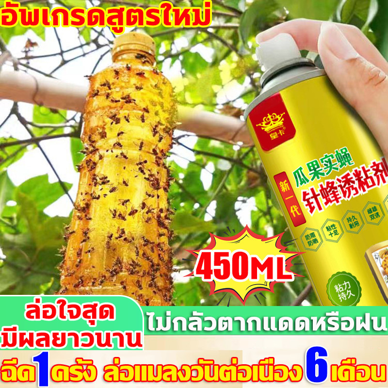 สารล่อแมลงวันทอง สเปรย์กาว อัพเกรดสูตรใหม่ สเปรย์ดักแมลงวันทอง สเปรย์กาวกำจัดแมลงวันทอง ติดแน่น หนีไม่พ้น สารล่อแมลงทอง