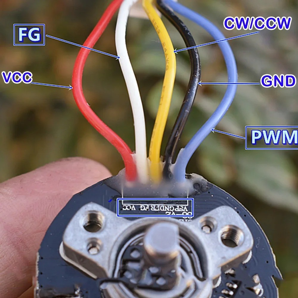 DC12V เมมเบรนเสริม Spear มอเตอร์ไร้แปรง TY3816B Micro รองรับไปข้างหน้าและย้อนกลับ PWM มอเตอร์ควบคุมความเร็ว ราคา ถูกที่สุด ดีลบีเคเค แกลเลอรีภาพที่ 4