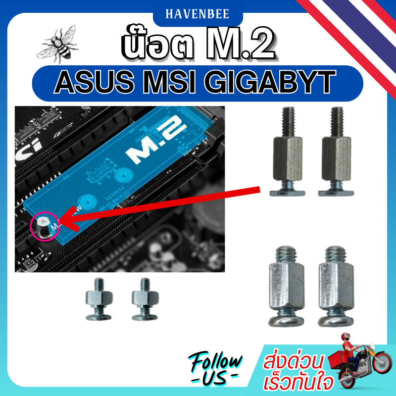 น็อตยึด SSD M.2 สำหรับเมนบอร์ดและโน้ตบุ๊ก | รองรับ ASUS, MSI, GIGABYTE และอื่นๆ