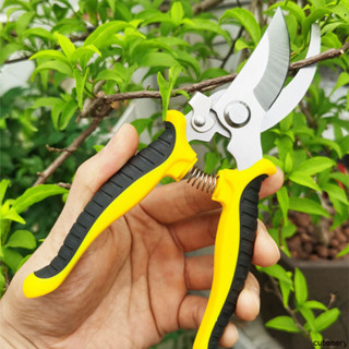 🛒 กรรไกรตัดกิ่งไม้ แต่งกิ่ง ตอนกิ่ง ทำสวน