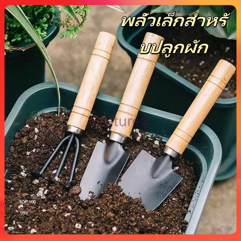 Featured พลั่วเล็กสำหรับปลูกผัก/เหล็กแมงกานีส เครื่องมือขุดกลางแจ้งสำหรับขุดผักป่า/พลั่วพิเศษสำหรับทำสวน (3 ชิ้น)