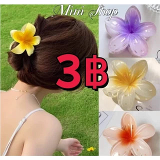 Mini shop🌸พร้อมส่ง🌸เครื่องประดับผม ารักเกาหลีสไตล ์ วันหยุดผู ้ หญิงมัลติฟังก ์ ชั ่ อุปกรณ เสริมผม กิ๊บติดผม (TM-3)